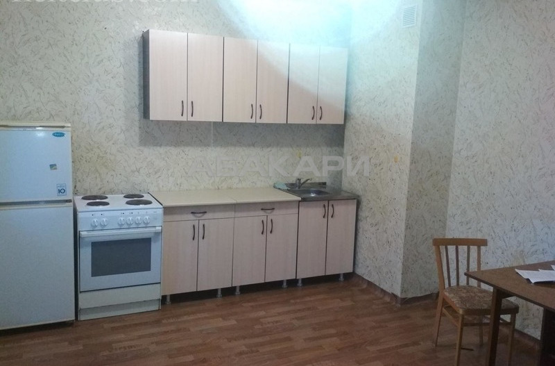 1-комнатная Паровозная Мичурина ул. за 13500 руб/мес фото 2