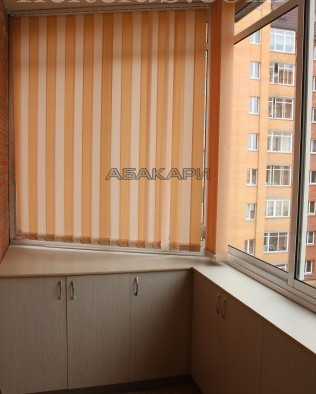 2-комнатная Толстого Новосибирская ул. за 29000 руб/мес фото 13