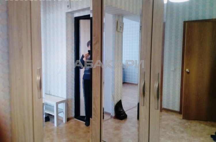 1-комнатная Елены Стасовой Ветлужанка мкр-н за 15000 руб/мес фото 2